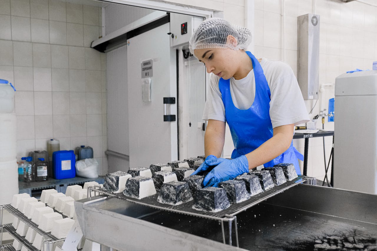 Services A worker in a cheese factory examines cheese blocks during production, focusing on quality control.