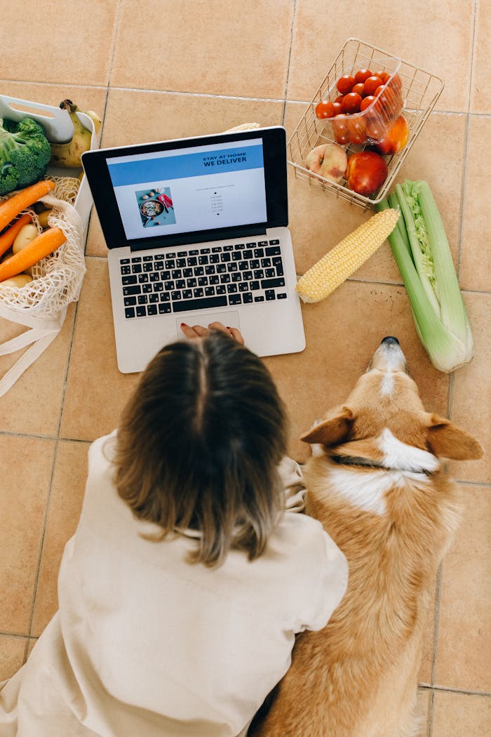 About Overhead view of a woman and her corgi browsing online grocery shopping on a laptop.